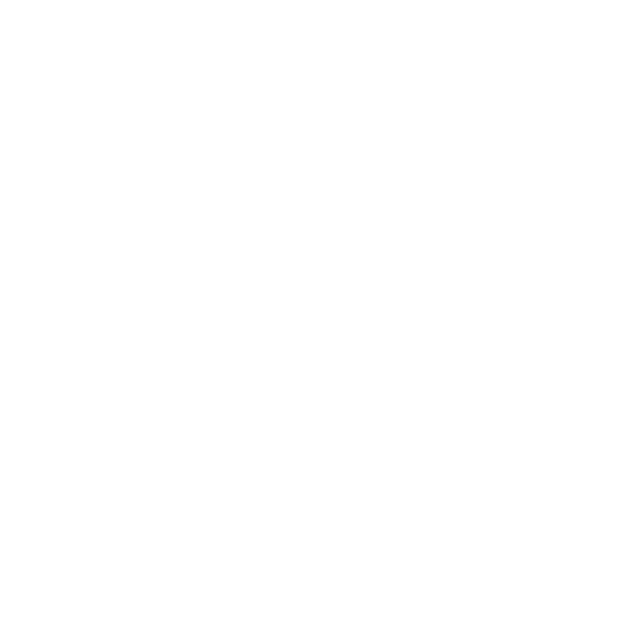 ICONO-APP DELVERY