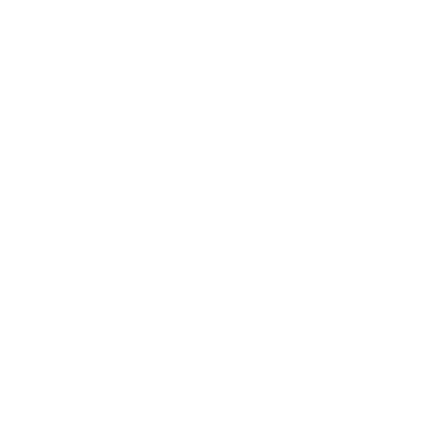 ICONO-IT OPERATIONS